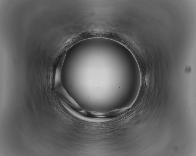 X0000091221348200708161648