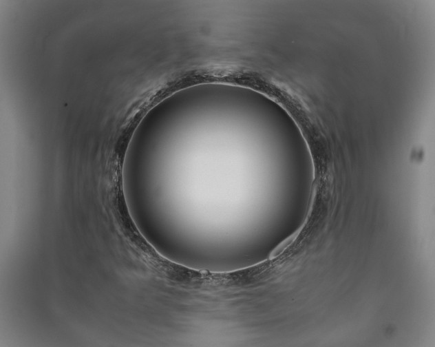 X0000091221349200708161648