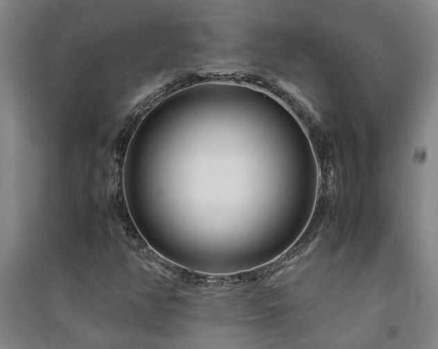 X0000091221350200708161648