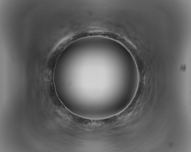 X0000091221351200708161648