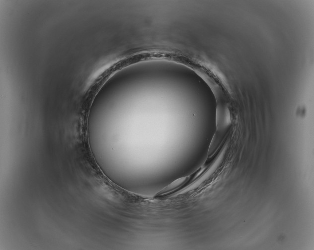 X0000091221352200708161648