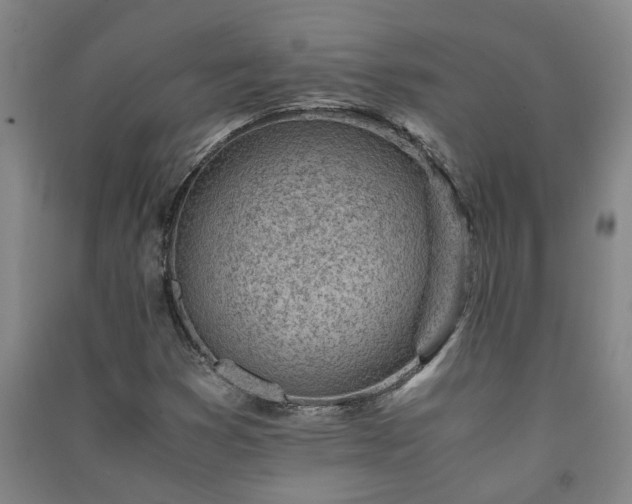 X0000091221353200708161648