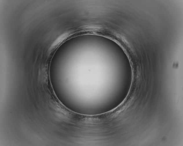 X0000091221354200708161648