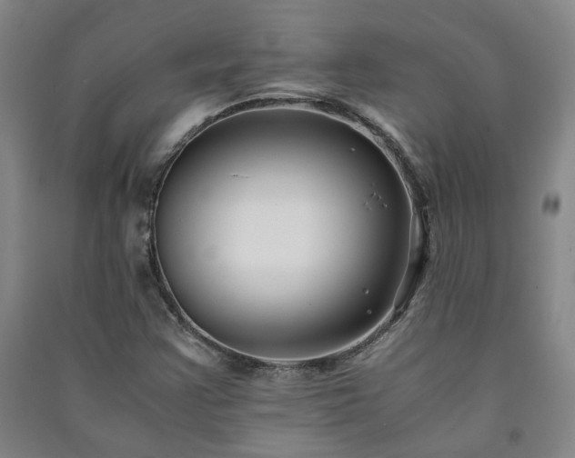 X0000091221355200708161648