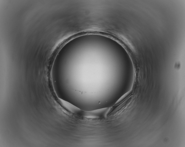 X0000091221356200708161648