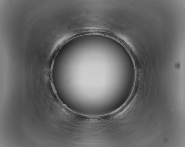 X0000091221357200708161648