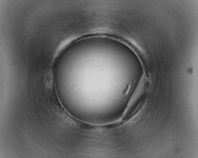 X0000091221358200708161648