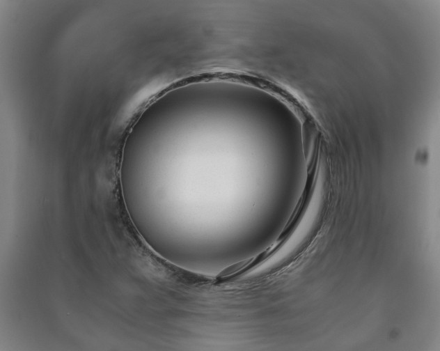 X0000091221359200708161648