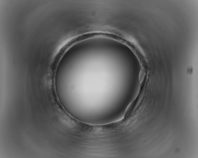 X0000091221360200708161648