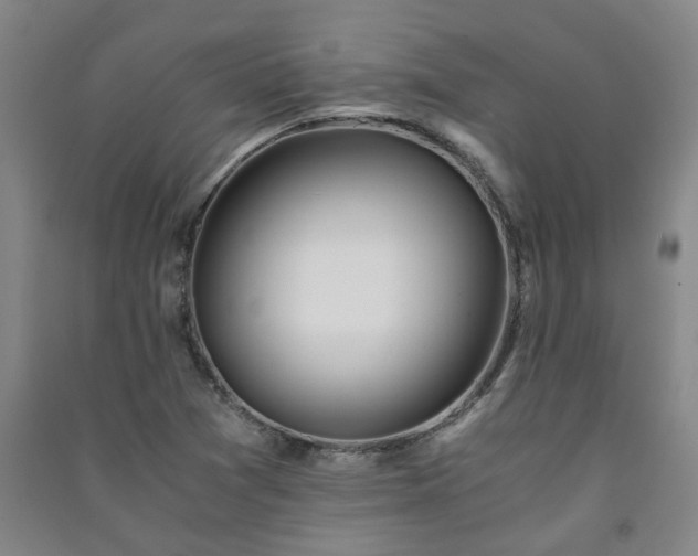 X0000091221361200708161648