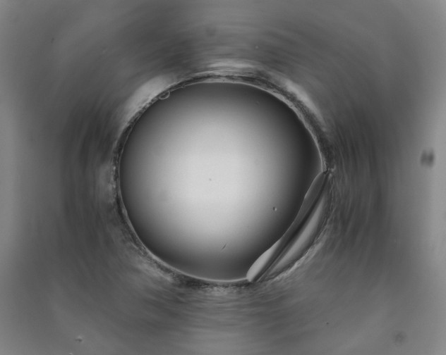 X0000091221362200708161648