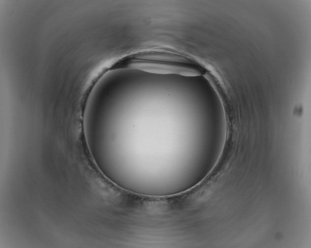 X0000091221363200708161648