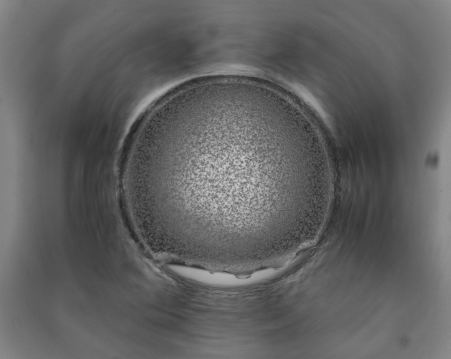 X0000091221364200708161648
