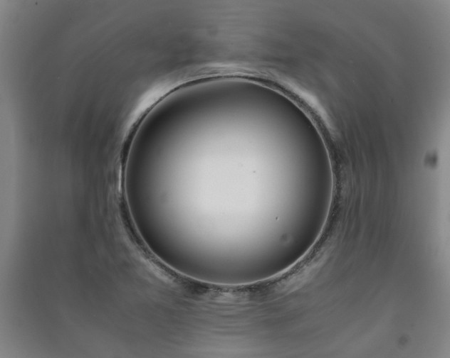 X0000091221365200708161648