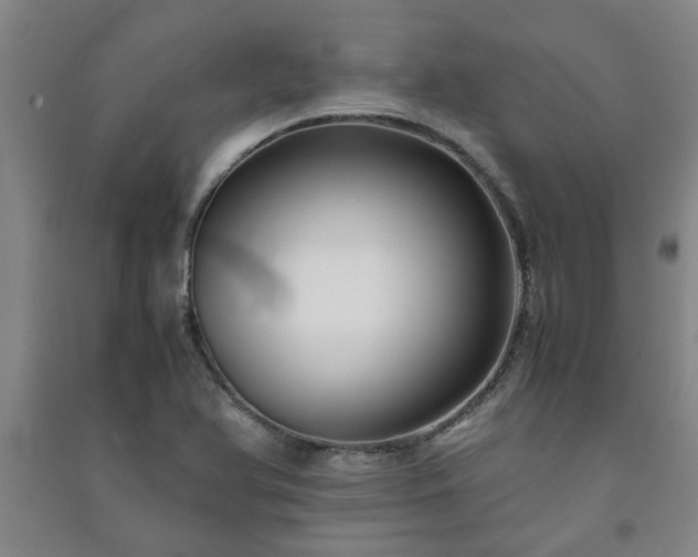 X0000091221366200708161648