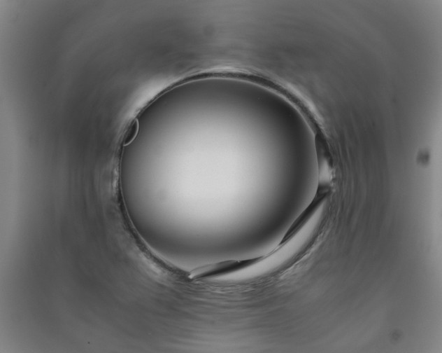 X0000091221367200708161648