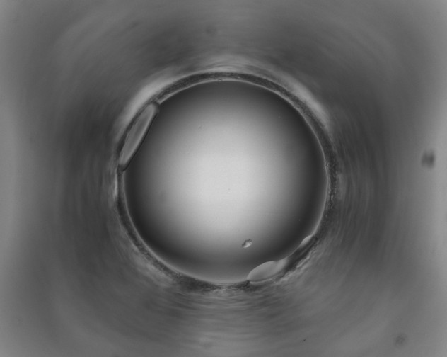 X0000091221368200708161648