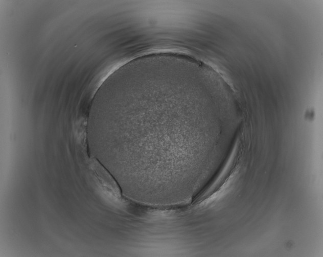 X0000091221369200708161648