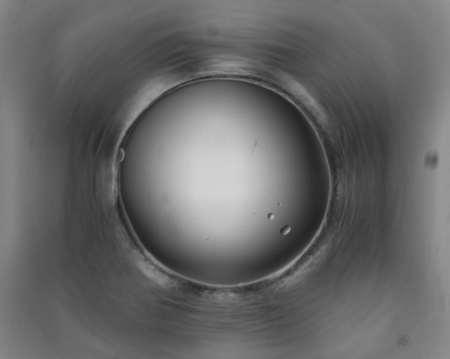 X0000091221370200708161648