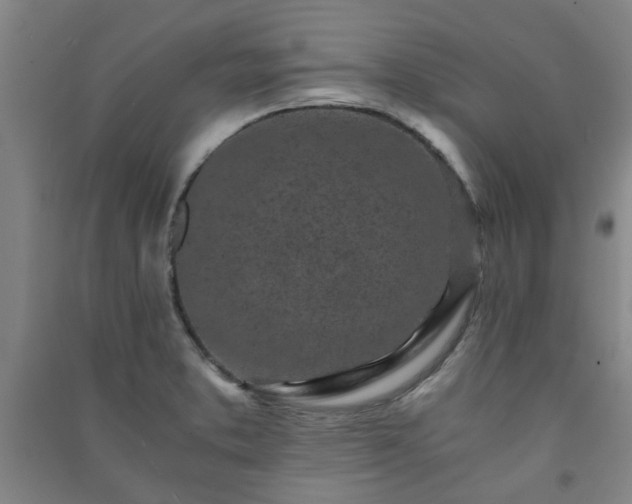 X0000091221373200708161648