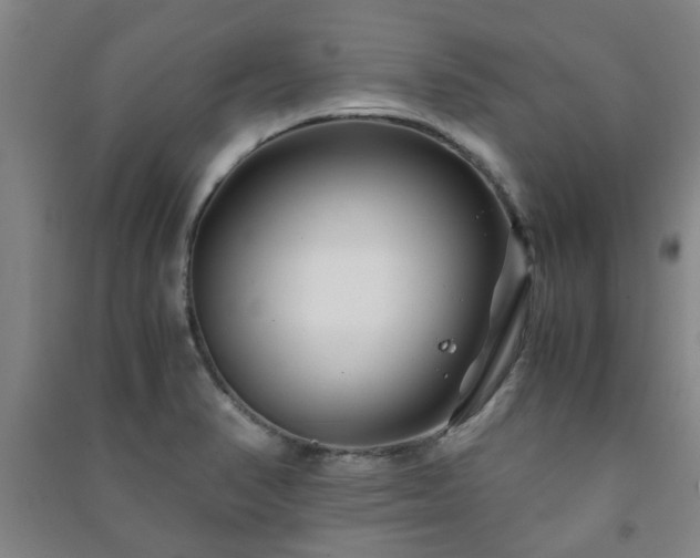 X0000091221374200708161647