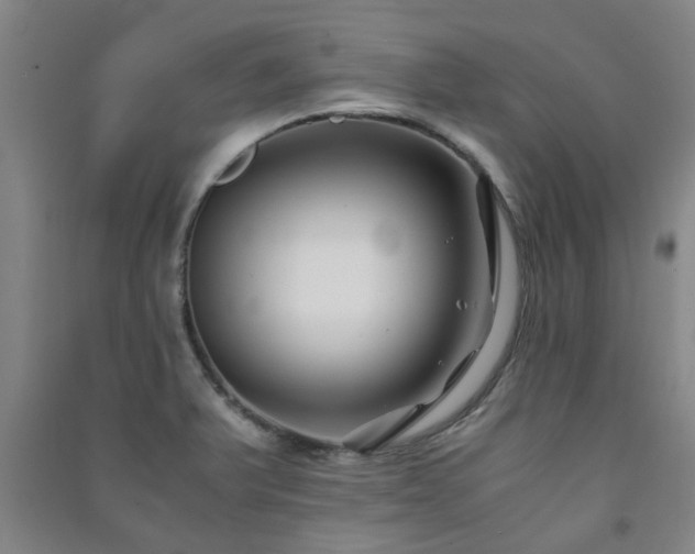 X0000091221375200708161647