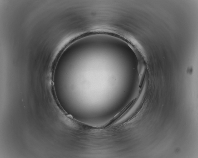 X0000091221376200708161647