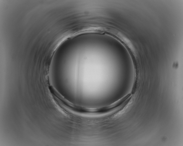 X0000091221377200708161647