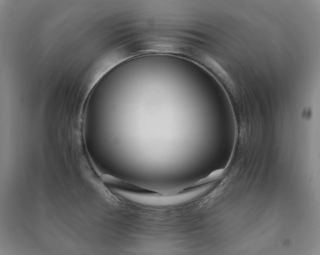 X0000091221378200708161647