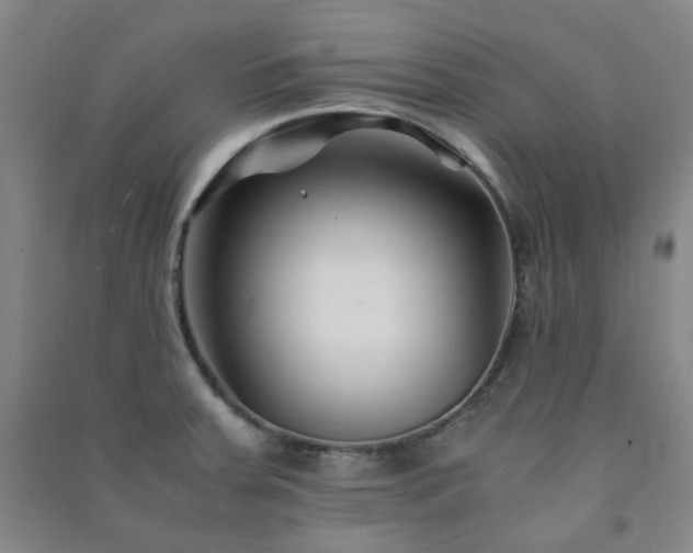 X0000091221379200708161647