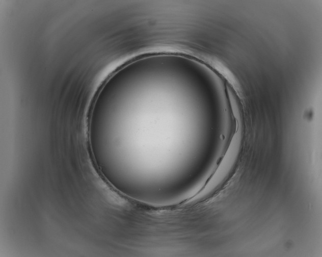 X0000091221380200708161647