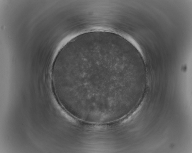 X0000091221381200708161647