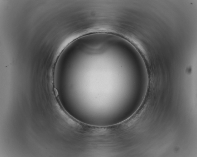 X0000091221382200708161647