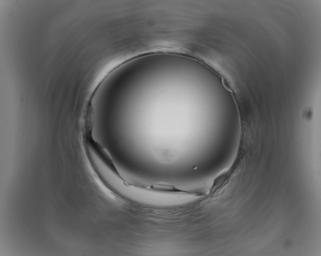 X0000091221383200708161647