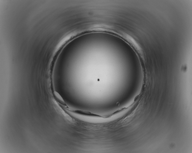 X0000091221384200708161647