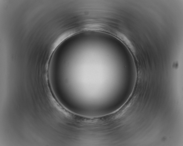 X0000091221386200708161647