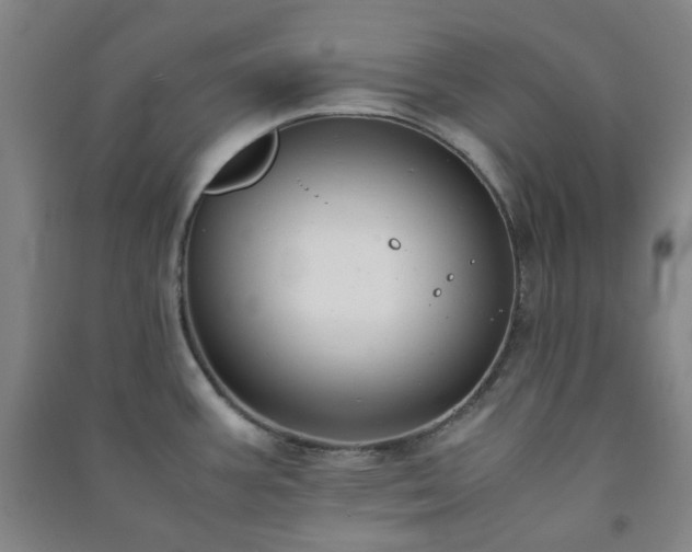 X0000091221387200708161647