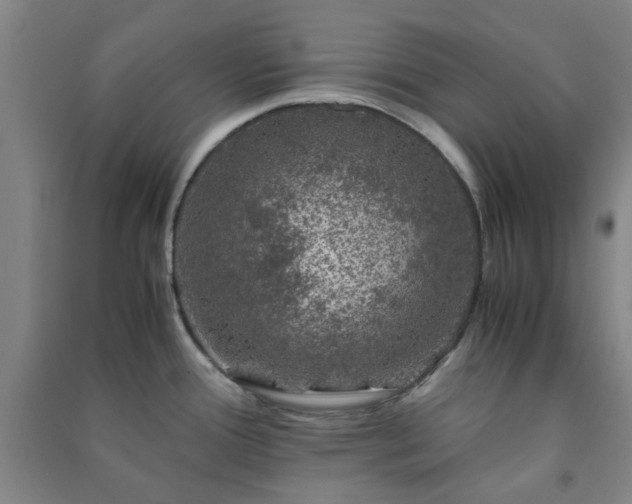 X0000091221388200708161647