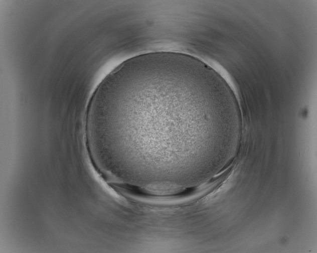 X0000091221389200708161647