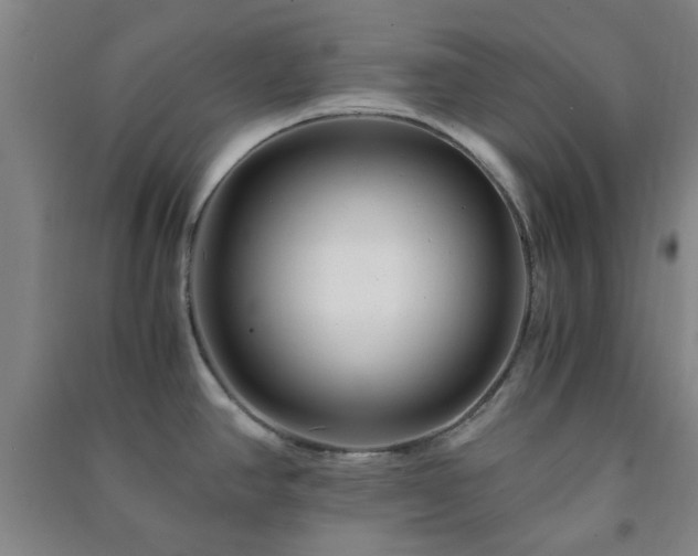 X0000091221390200708161647