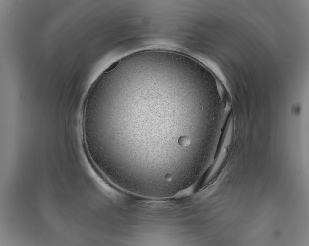 X0000091221391200708161647