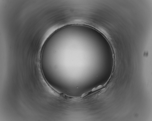 X0000091221392200708161647