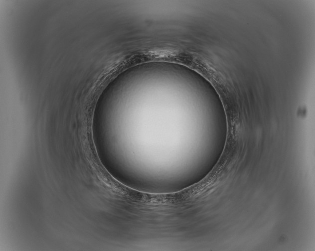 X0000091221393200708161646