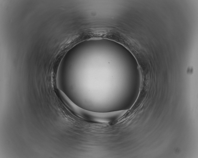 X0000091221394200708161647