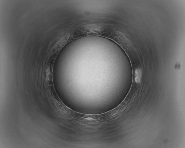 X0000091221395200708161647