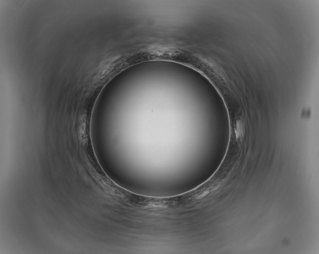 X0000091221396200708161647