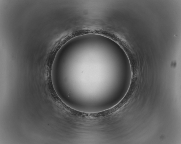 X0000091221398200708161647