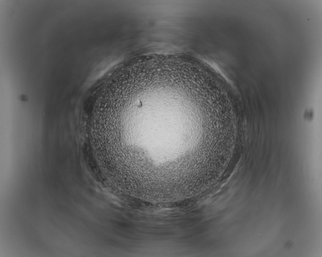 X0000091221399200708161647