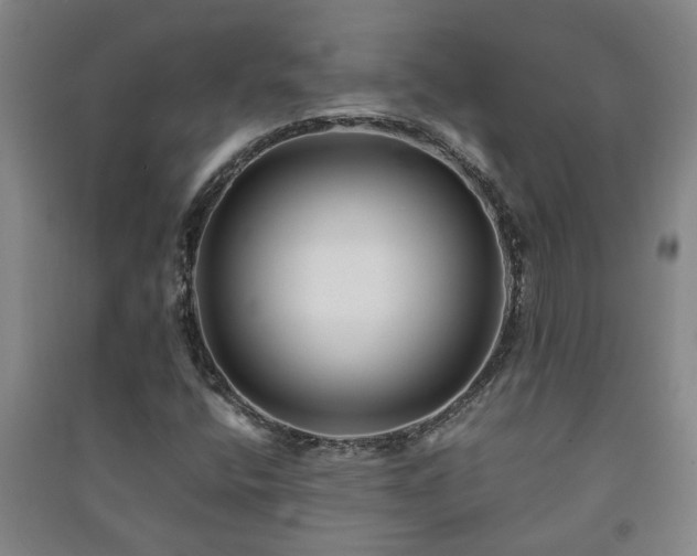 X0000091221400200708161647