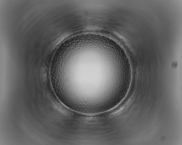 X0000091221401200708161647